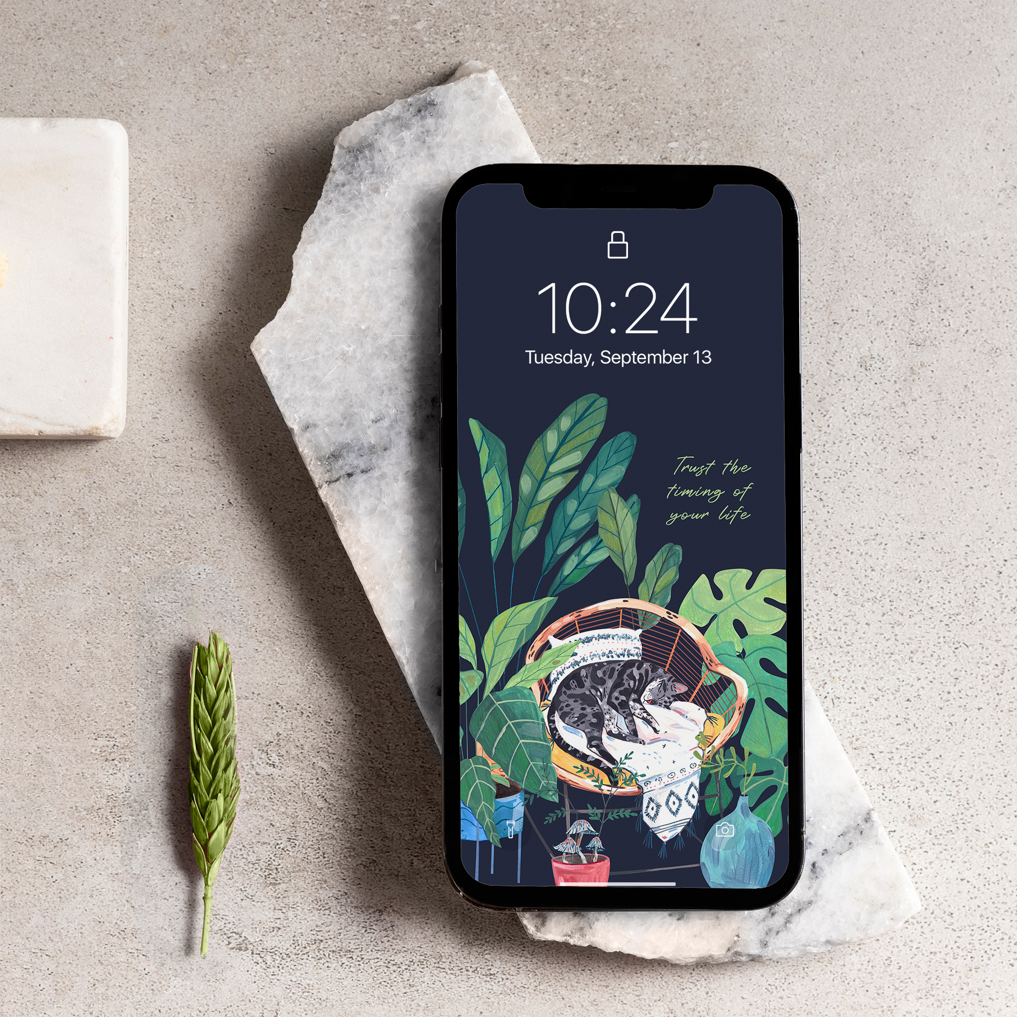 Cat in paradise phone background