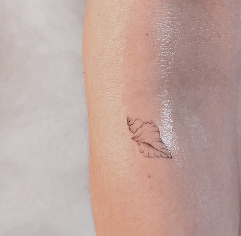 Muschel Tattoo Fineline_edited.jpg