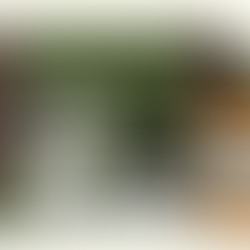 For the Men We Love: A Holiday Gift Guide