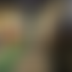 Op-Ed: Mayor-elect Mamdani’s First High Profile Incident