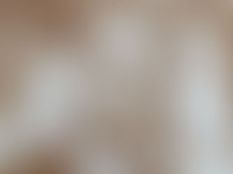 Un veleño en Nueva York