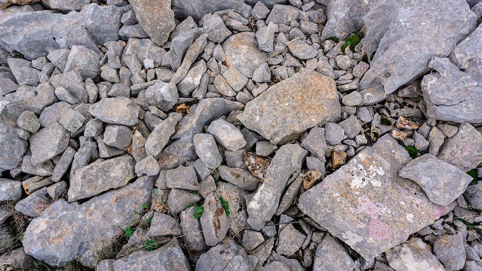 Los cantos calizos rodados. Son el resultado de procesos de meteorización física, fundamentalmente gelifracción y termoclastia, intensificados por la acción de las lluvias, que han generado depósitos coluviales muy abundantes en la Mesa de Zalia.