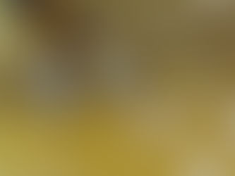 森町道場初稽古 230106