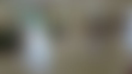 合同稽古 260711