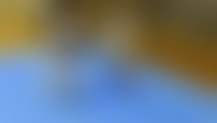 八雲道場 260929