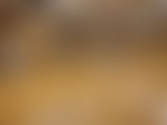 森町道場サンビレッジ・森