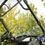 Thumbnail: Honda Pioneer 500 Full Windshield