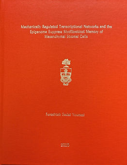 Younesi Thesis.jpg