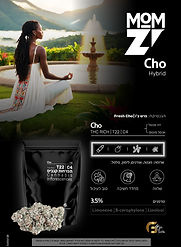 WhatsApp Image 2026-04-15 at 17.37.21.jpeg