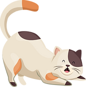 Asset 4.png