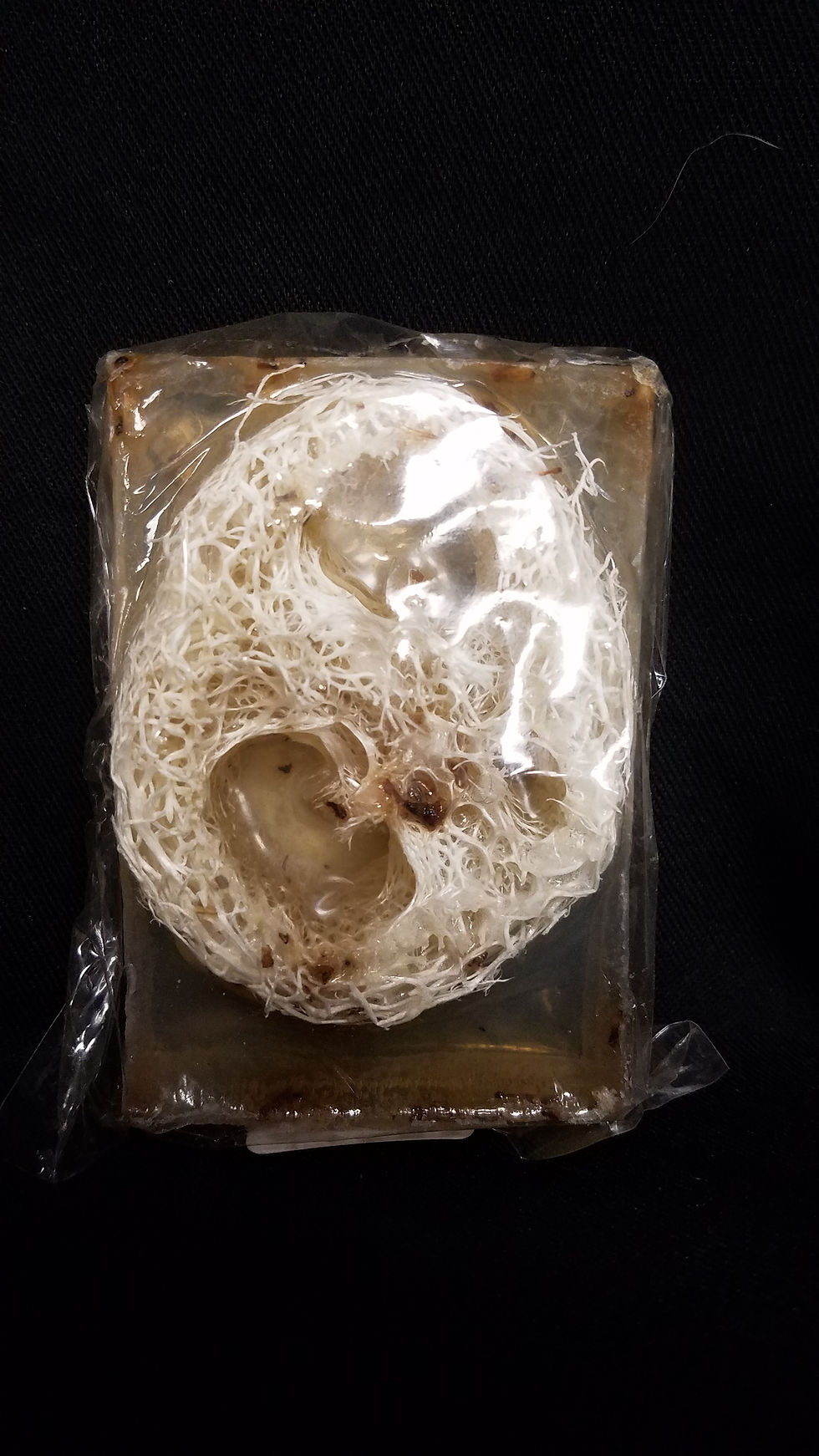 Thumbnail: Organic Loofah Soaps