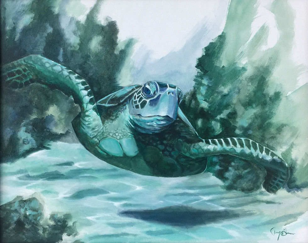 LA TORTUE DE MER
