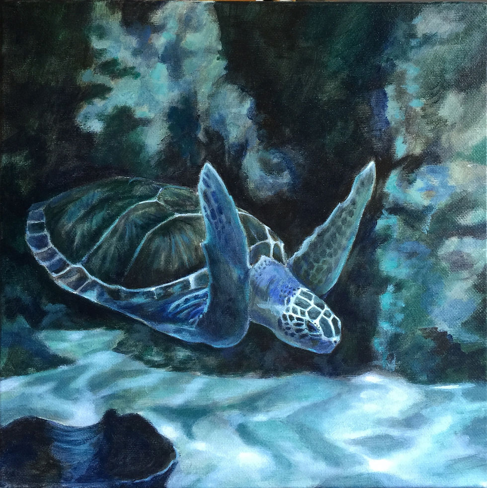 SEA TURTLE I