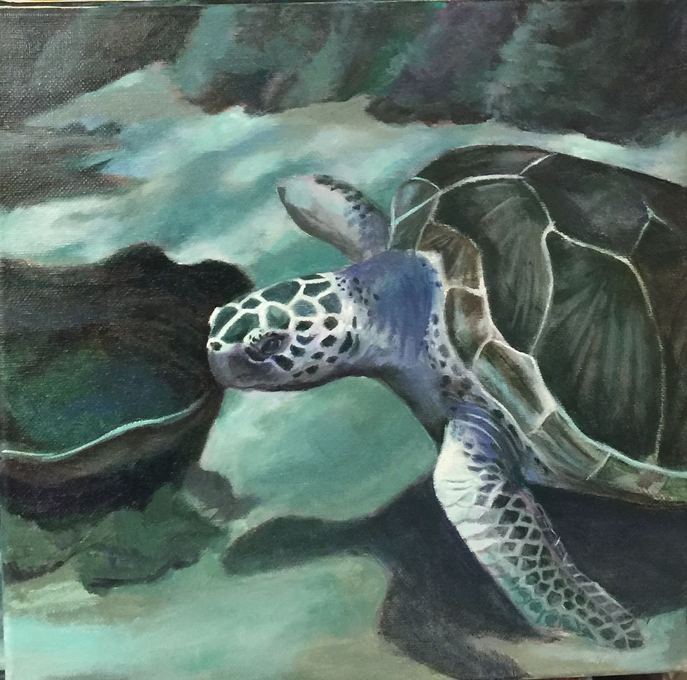 SEA TURTLE II