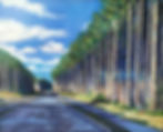 CAROLINA PINES