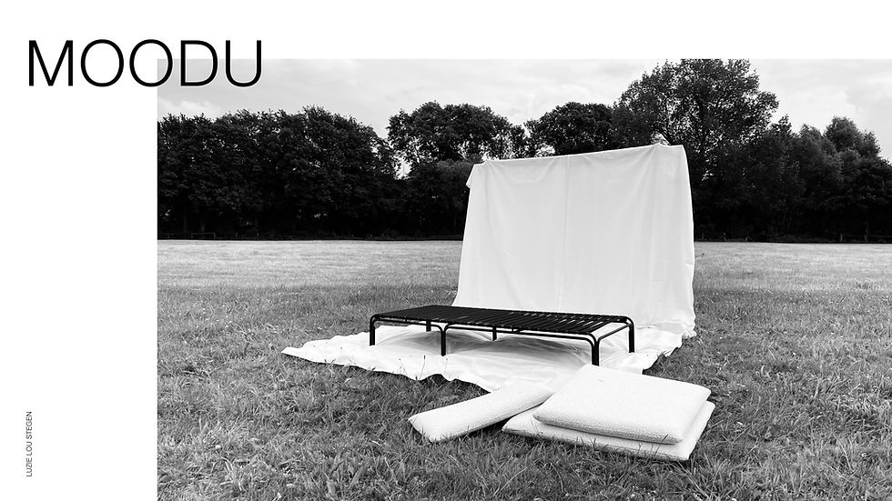 luzieloustegen-10-moodu