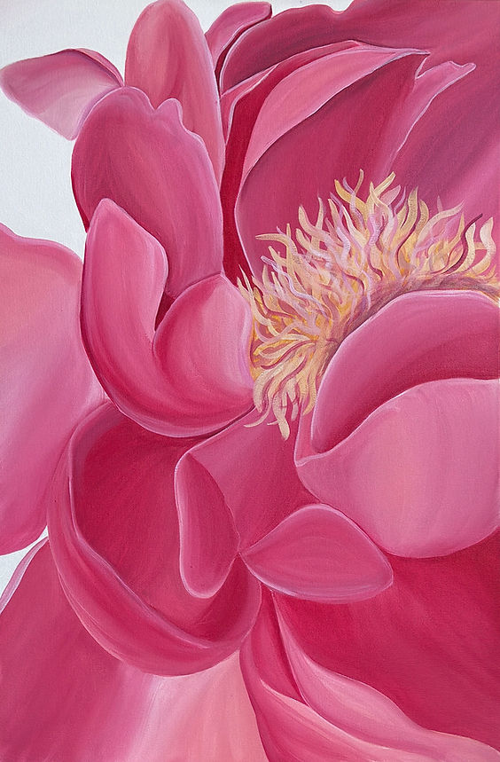 Peony | Acrylic