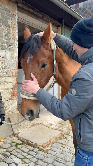 Tom mit Bruno.jpeg