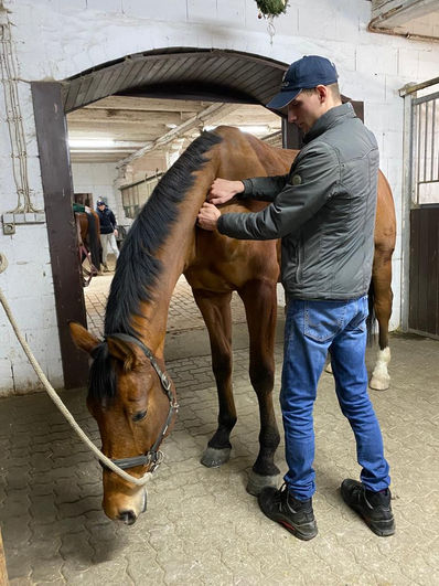 Behandlung Körper.jpeg