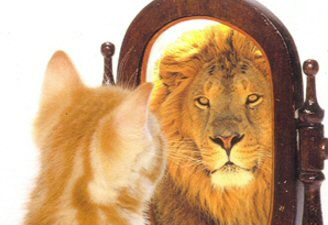 Things To Not Believe About Confidence