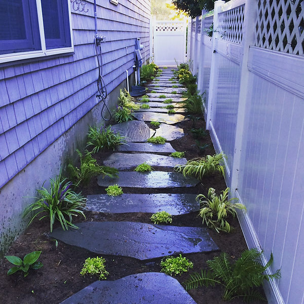 IMG_2536 - Copy (2).JPG