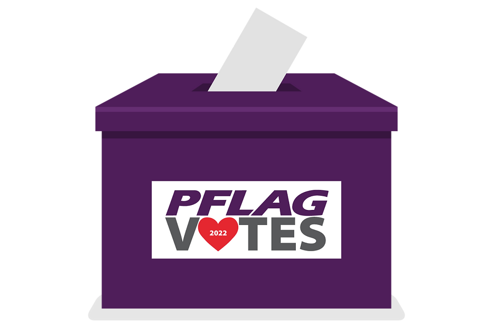 PFLAG Votes 2022: Midterms Matter!