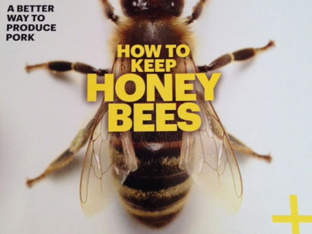 Change is Brewing: A Florida University helps revive Haiti's once-robust coffee trade