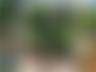 A New Generation of Black Farmers Is Cultivating Self-Determination