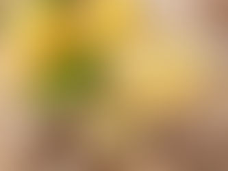 Beneficios del té de Jengibre