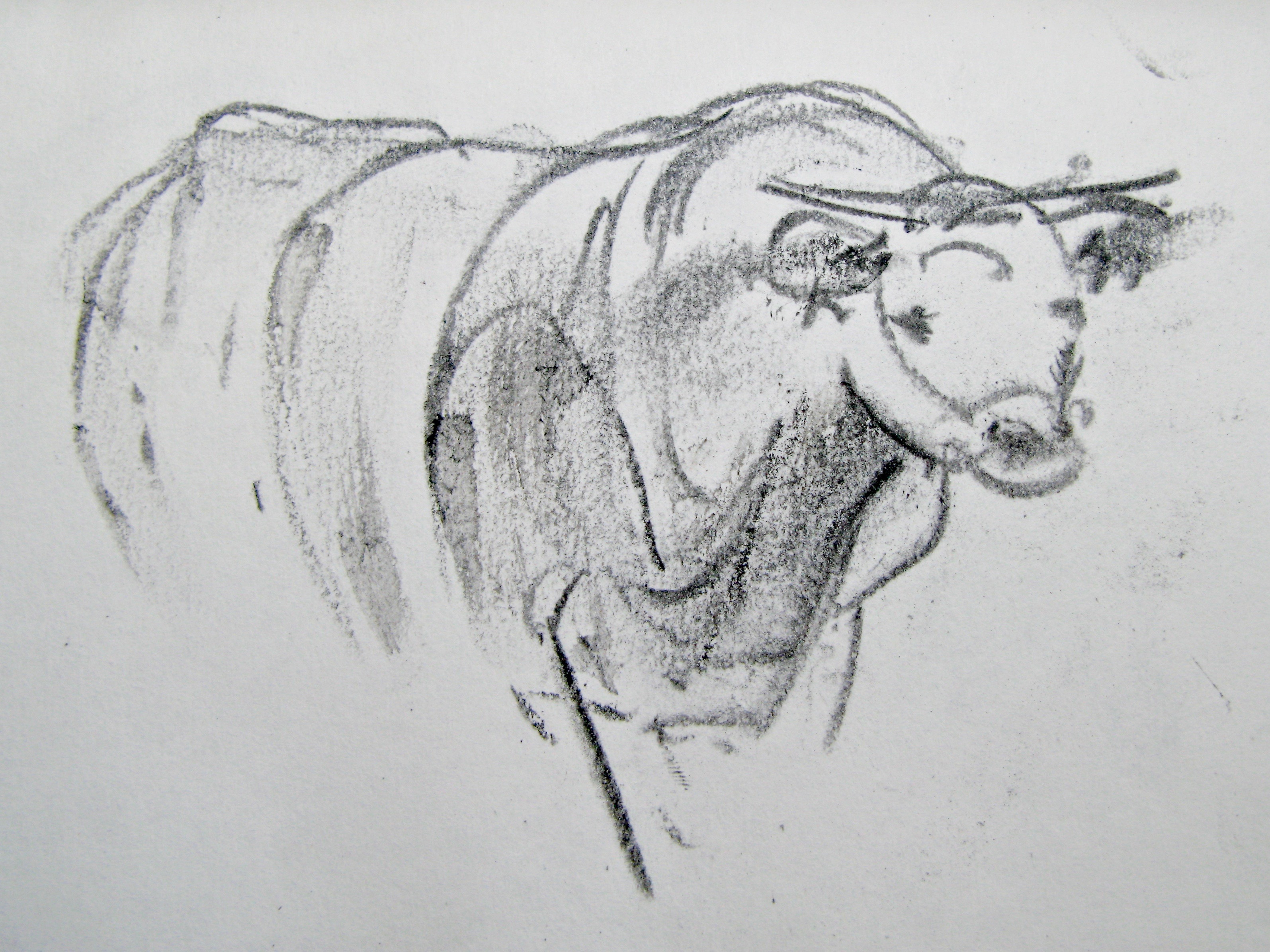 Cow