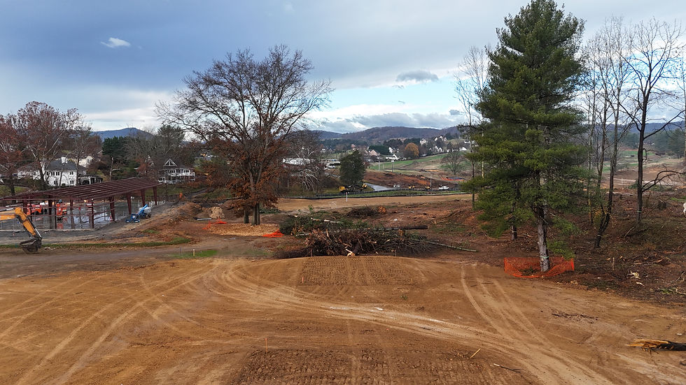 View from the 9th tees following clearing operations. 