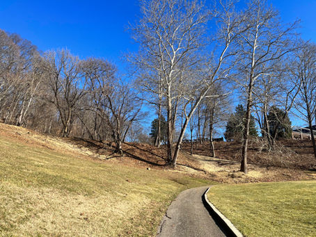 Winter Project Update