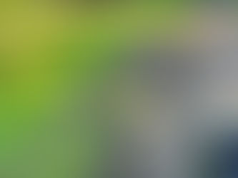 Cleanup update and Golf Course Status