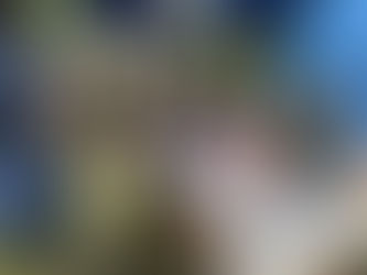 開田ずんね市〜開田高原文化祭 2024/9/8