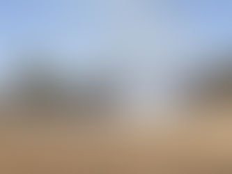 春の訪れを告げる「野焼き」