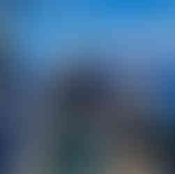 Fishing Tournament in Puerto Vallarta