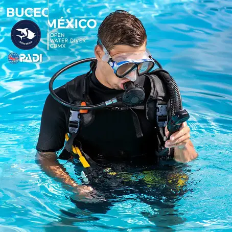 Exploring Puerto Vallarta's Underwater Paradise