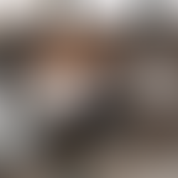 Interactive Reading Worksheet