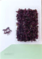 Mor Shiso