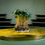 Thumbnail: Nasturtium Empress