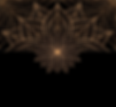 flyer gold leer2.jpg