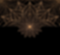 flyer gold leer2.jpg