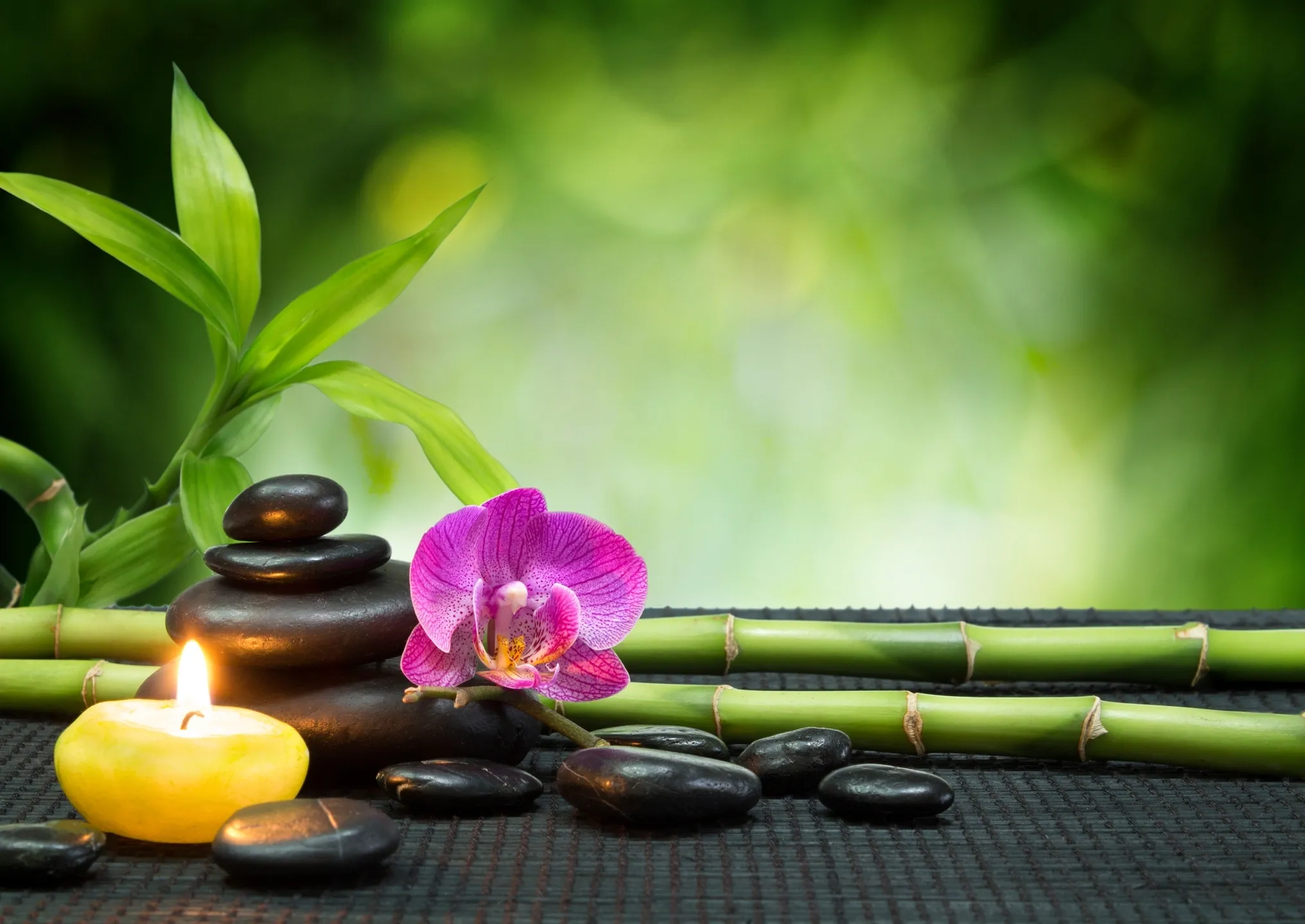 knead a massage.webp