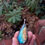 Thumbnail: Labradorite Pendant
