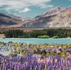 New Zealand Expands Pathway Student Visa Rules, Creating More Flexible Routes for International Students