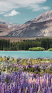 New Zealand Expands Pathway Student Visa Rules, Creating More Flexible Routes for International Students