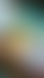 The Middle East Transition Window