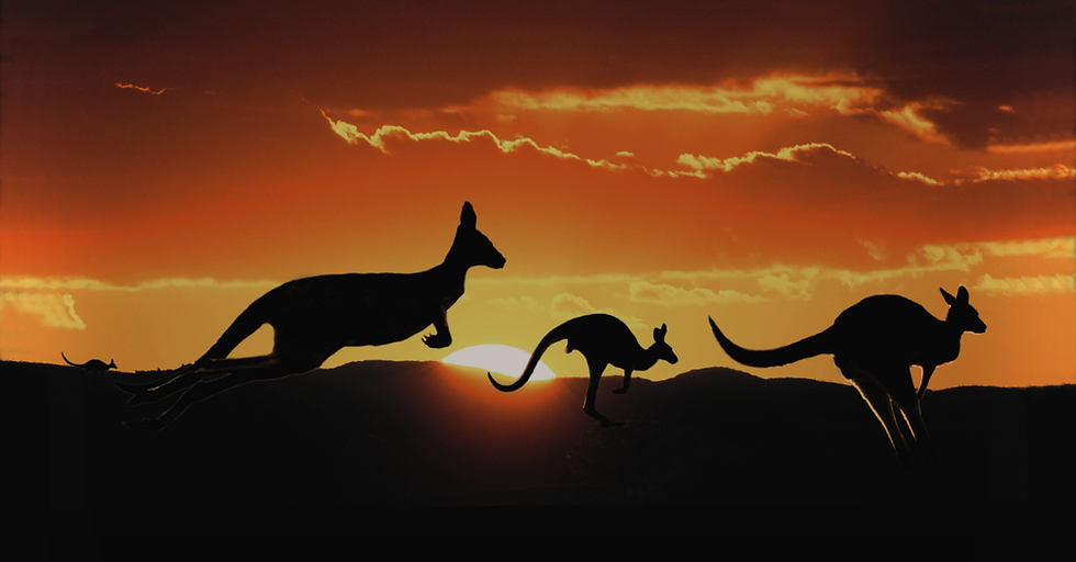 Australia Raises the Cost of Studying, but Gives ASEAN Students a Strategic Advantage