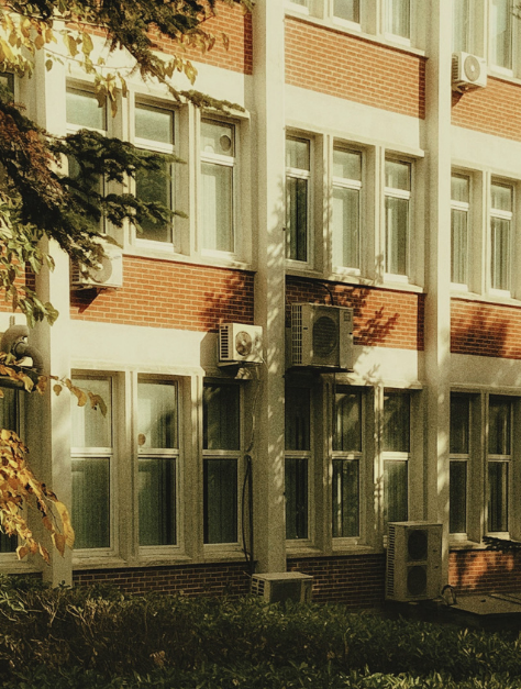International Recruitment vs an International University: What Makes a University Global?