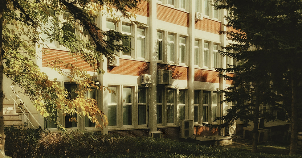 International Recruitment vs an International University: What Makes a University Global?